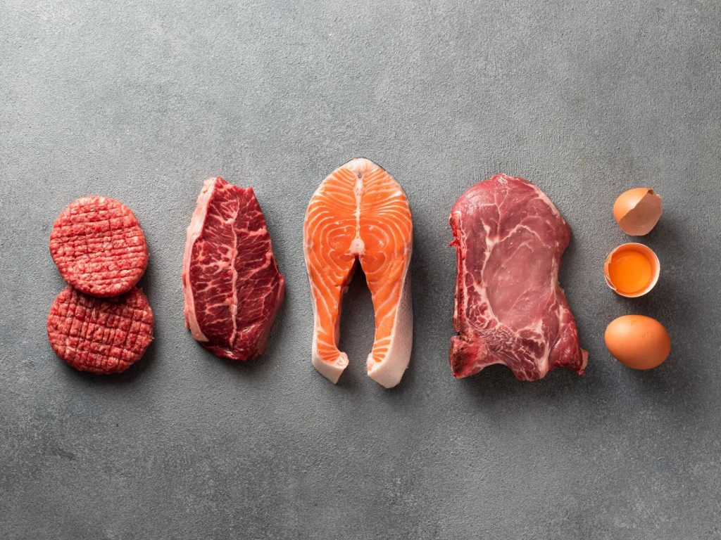 carnivore δίαιτα καρνιβορ